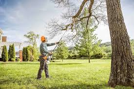  Ripon, WI Tree Services Pros