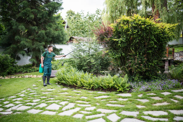 Best Tree Preservation Services  in Ripon, WI